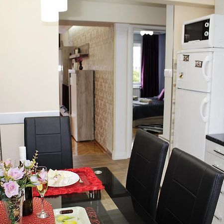 בלגרד Kristi Lux Apartment Center Free Parking Fast Wifi מראה חיצוני תמונה